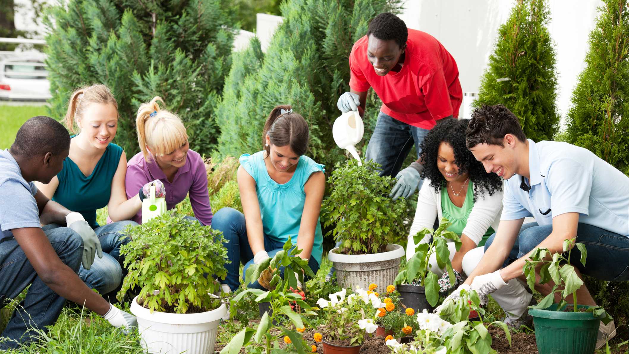 Members collaborating in a community food production space