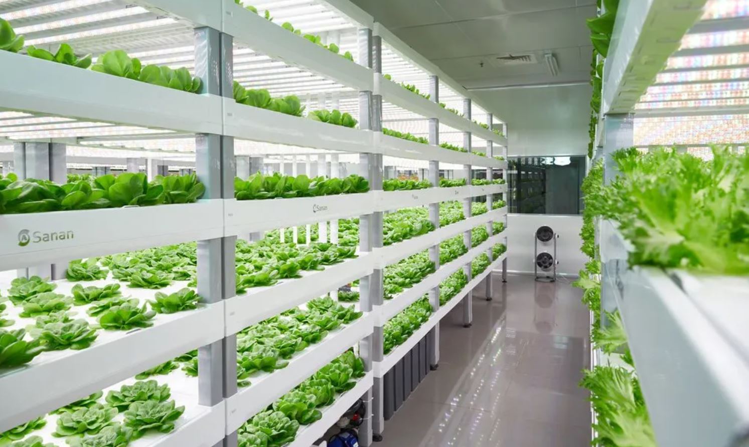 LCCH’s-Vertical-Farms - Limestone City Co-Operative Housing